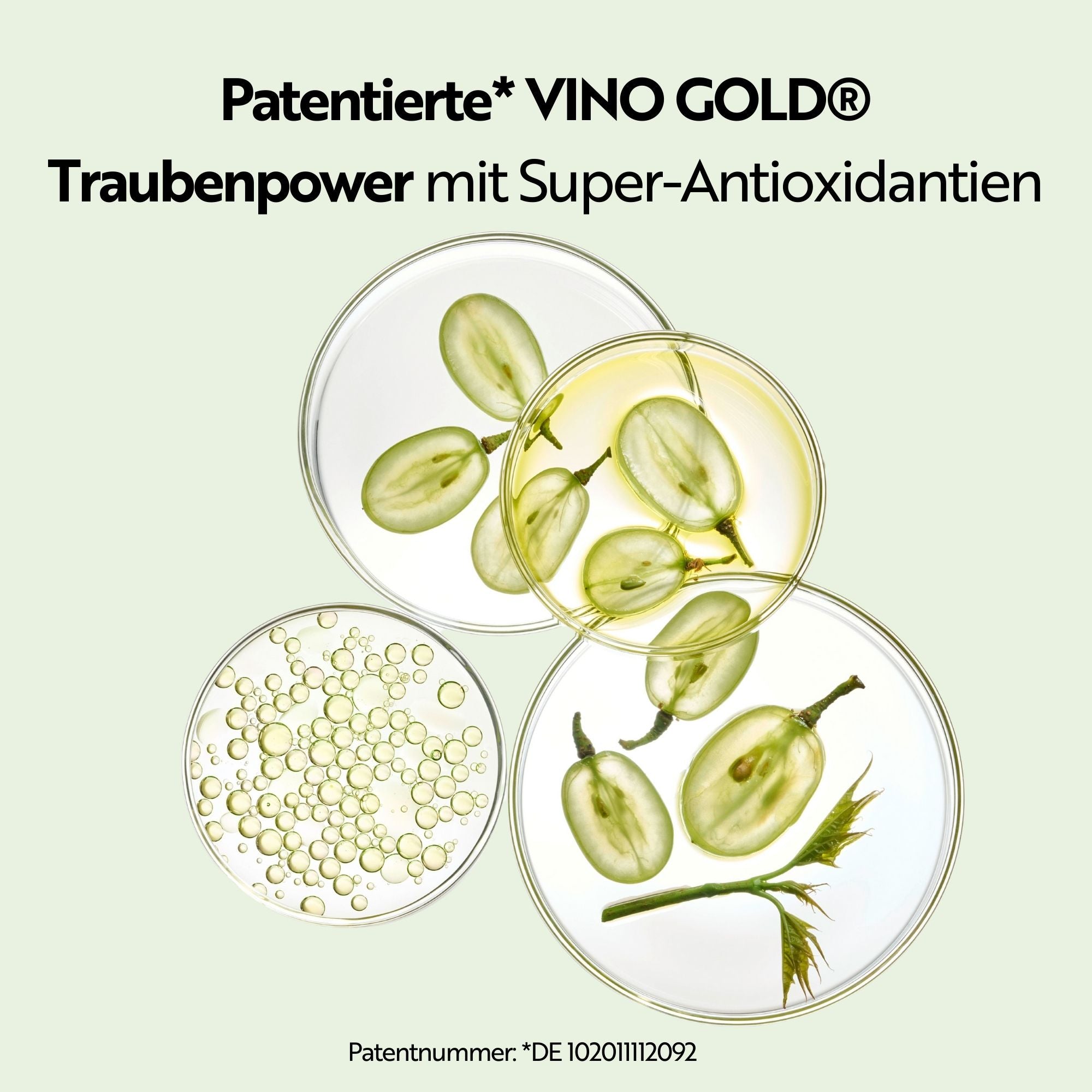 M. Asam VINO GOLD Straffende Körpercreme (500 ml)