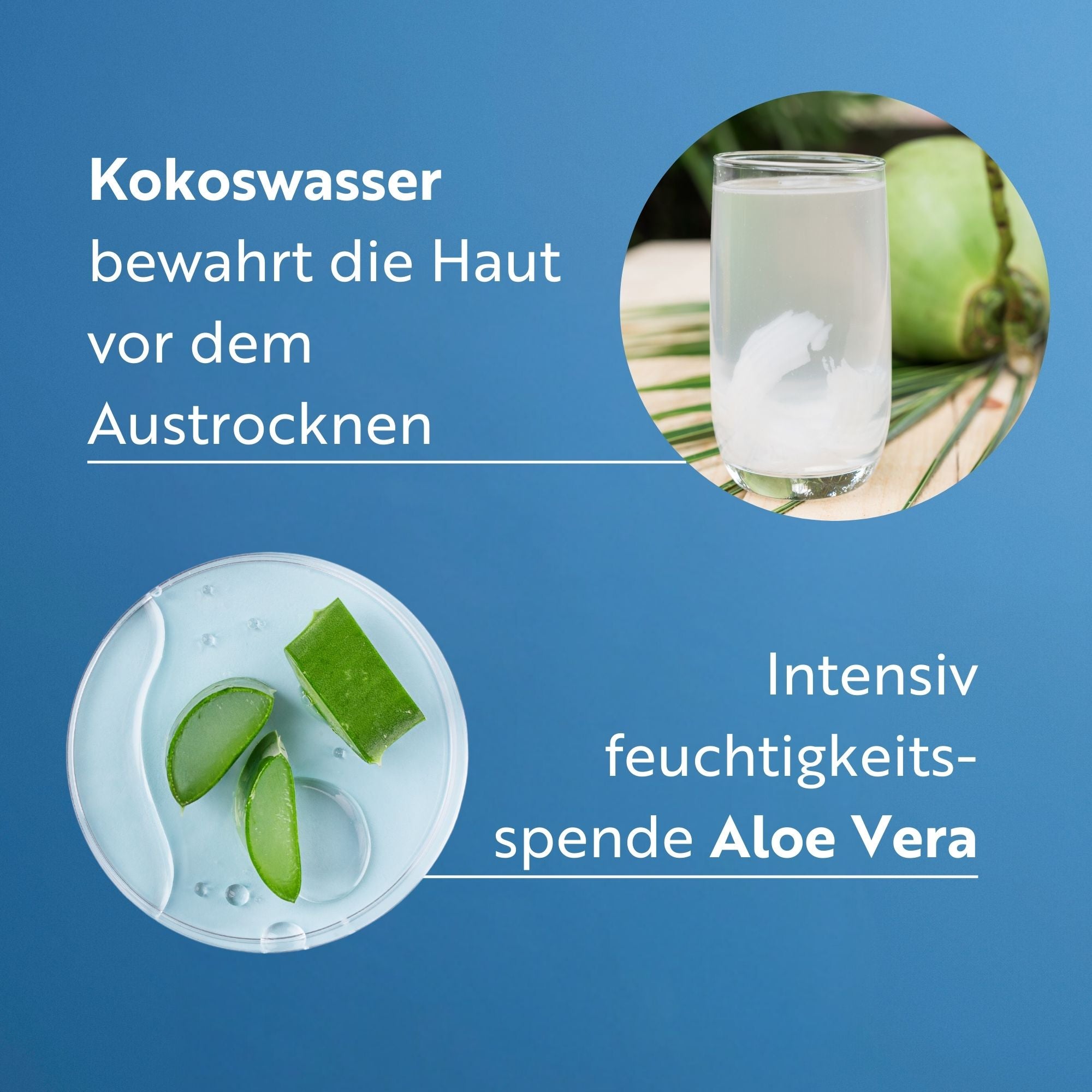 M. Asam SUN Intensive Anti-Aging Sonnencreme Gesicht LSF 30