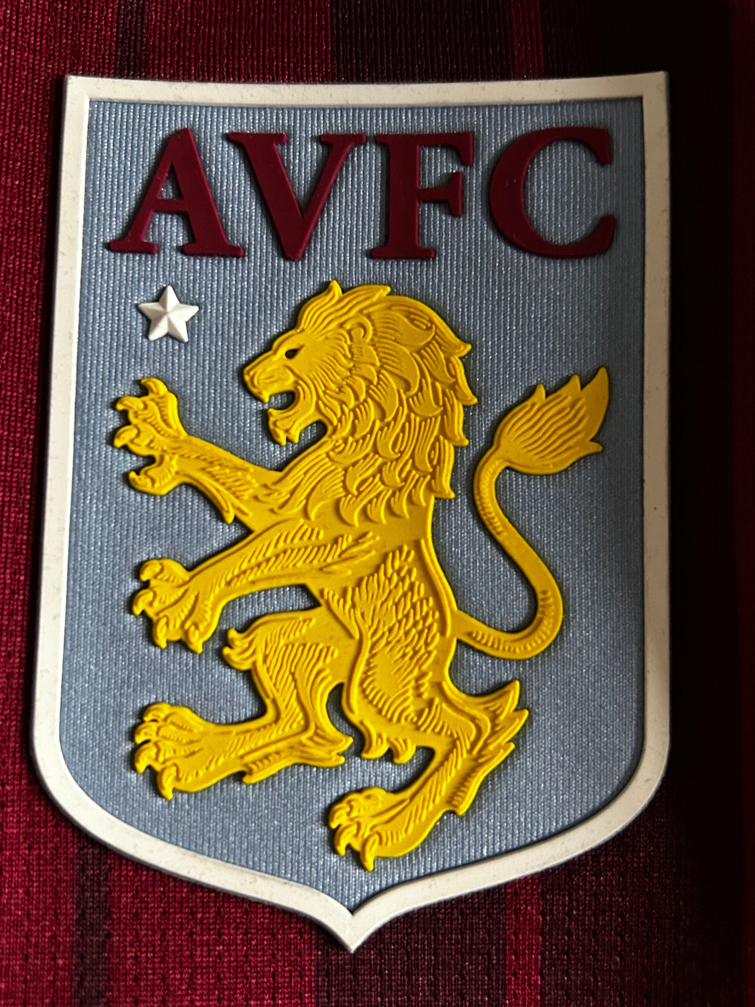 Trikot Aston Villa Home 20/21