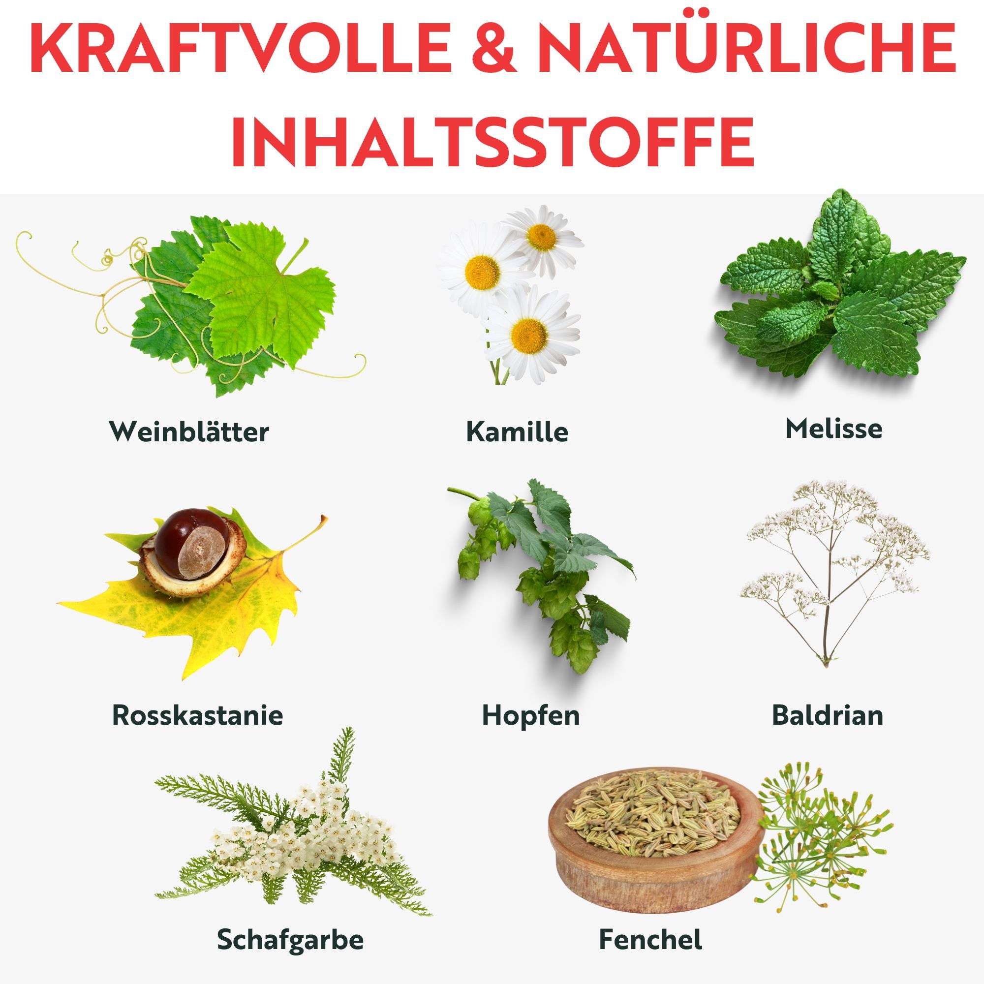 Kräuterhof Pferdebalsam DUO - wärmend