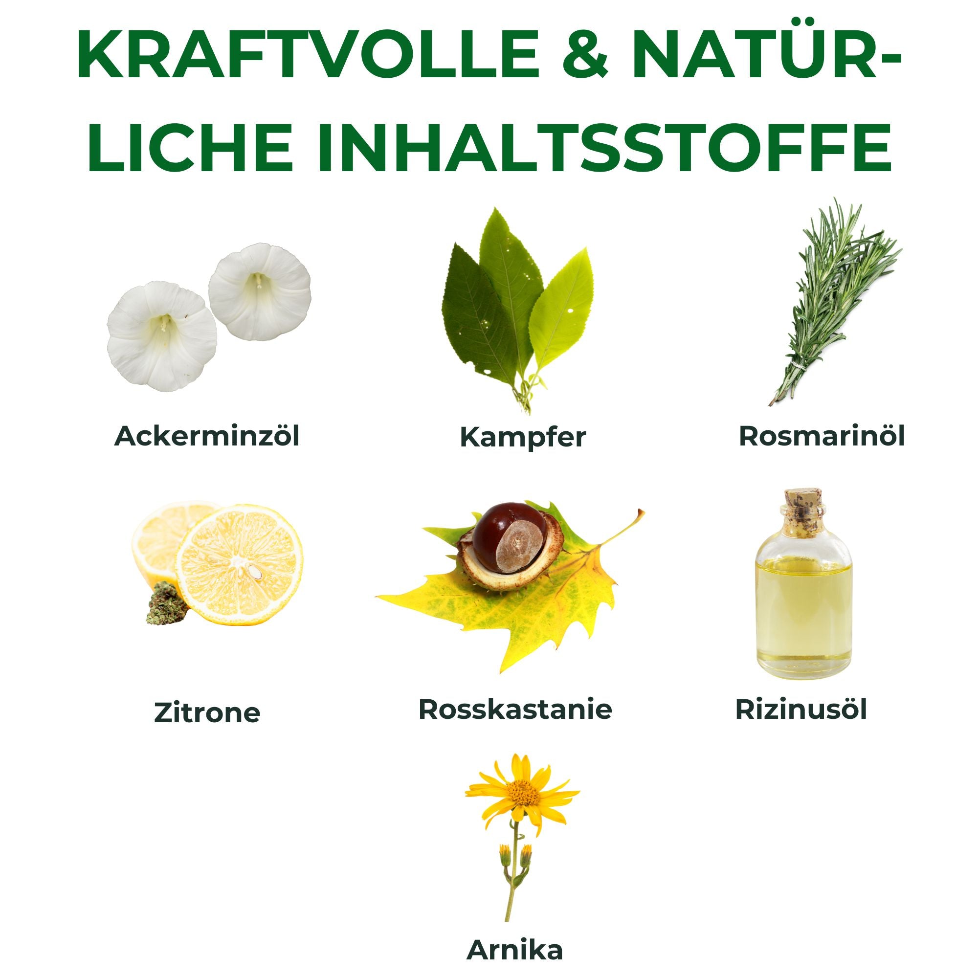 Kräuterhof® Pferdebalsam kühlend (500ml)
