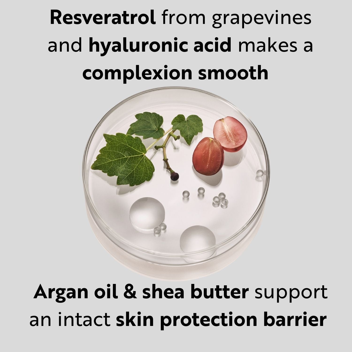 M. Asam Resveratol Premium NT50 Lifting Cream