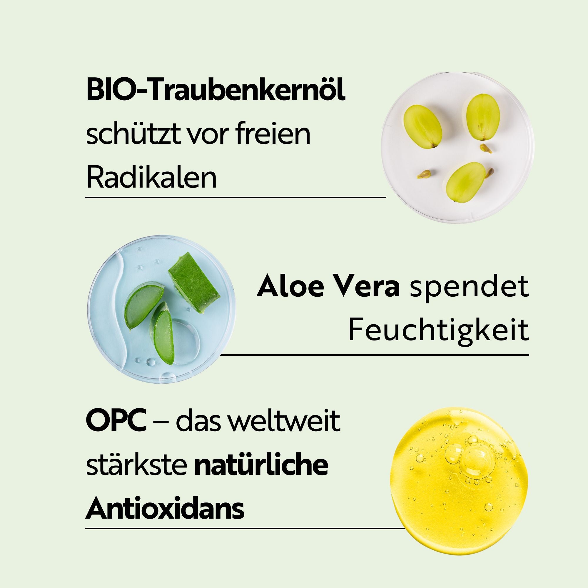 M. Asam Vino Gold  24h face cream